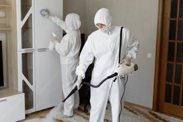 24/7 Emergency Odor Removal experts in Kyle, TX