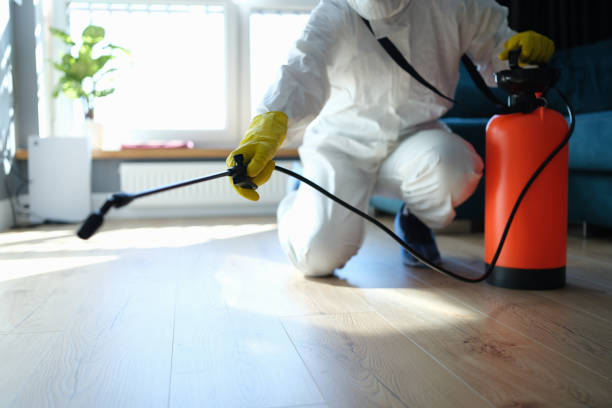 Reliable Odor Removal contractor in Kyle, TX by Trauma Clean Pros